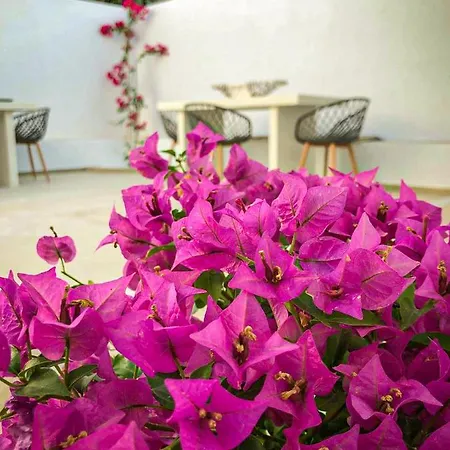 Vila Ds Traditional Santorini Island